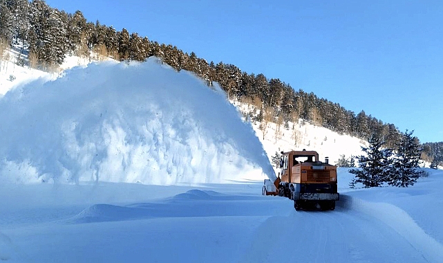 VAN’DA 199 YERLEŞİM YERİNİN YOLU ULAŞIMA KAPANDI