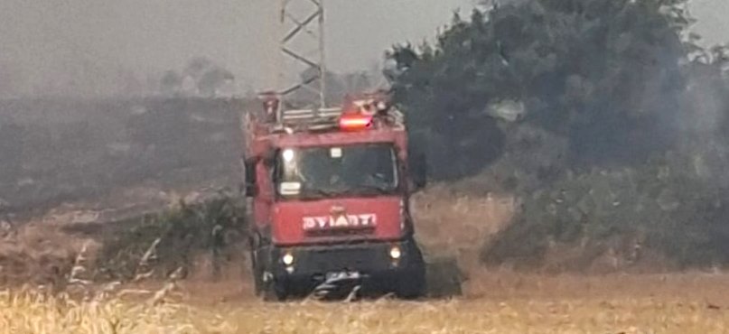 Bayırköy'deki yangında buğday tarlası uyandı