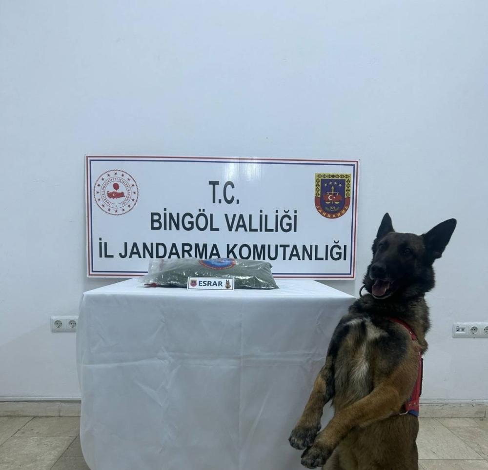 BİNGÖL’DE JANDARMA OPERASYONU: 8 ŞÜPHELİ YAKALANDI