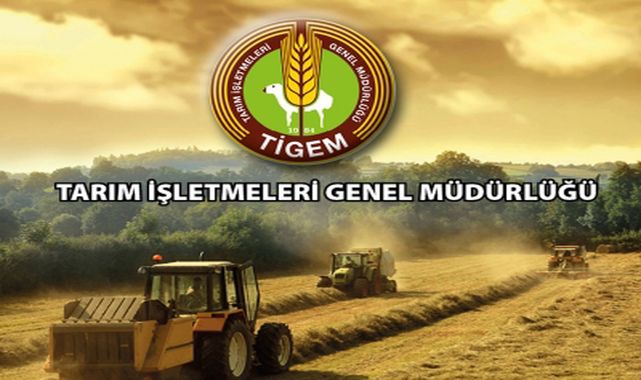 TİGEM’DEN 306 KİŞİLİK GEÇİCİ İŞÇİ ALIMI İLANI YAYINLANDI