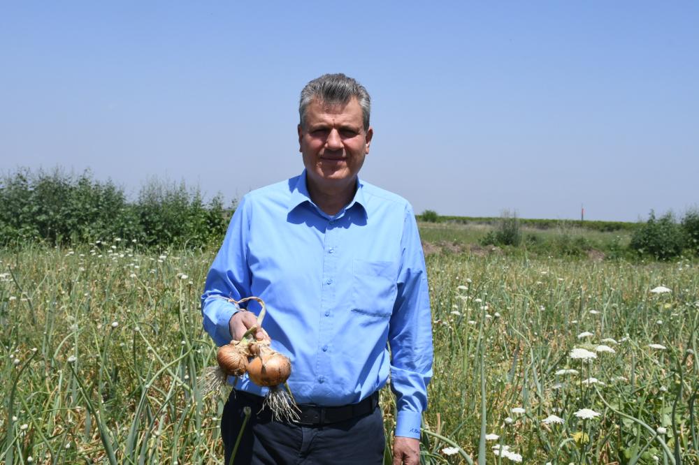 SOĞANDA BÜYÜK KRİZ: ÜRETİCİ ZARAR EDİYOR, TÜKETİCİ PAHALIYA ALIYOR