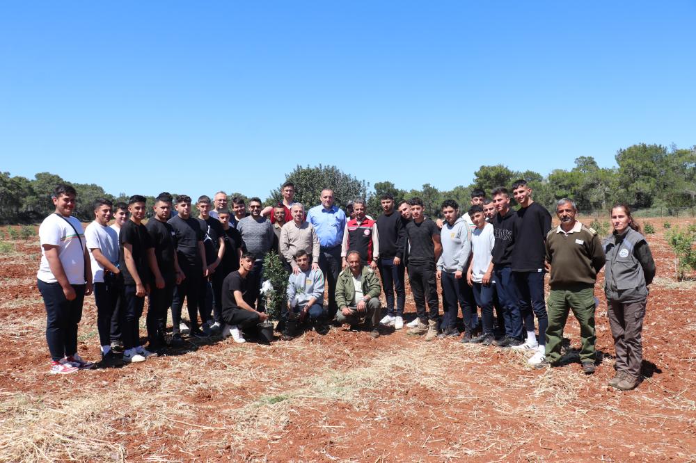 ÇEŞME DAMLA SAKIZI KIBRIS TOPRAKLARINDA