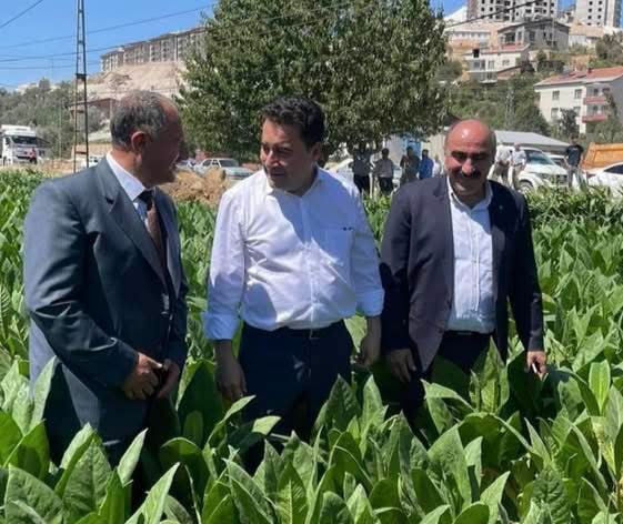 DEVA PARTİSİ’NDEN SERT TÜTÜN TEPKİSİ: “KENDİ TOPRAĞIMIZDA EMPERYALİZME IRGATLIK YAPIYORUZ”