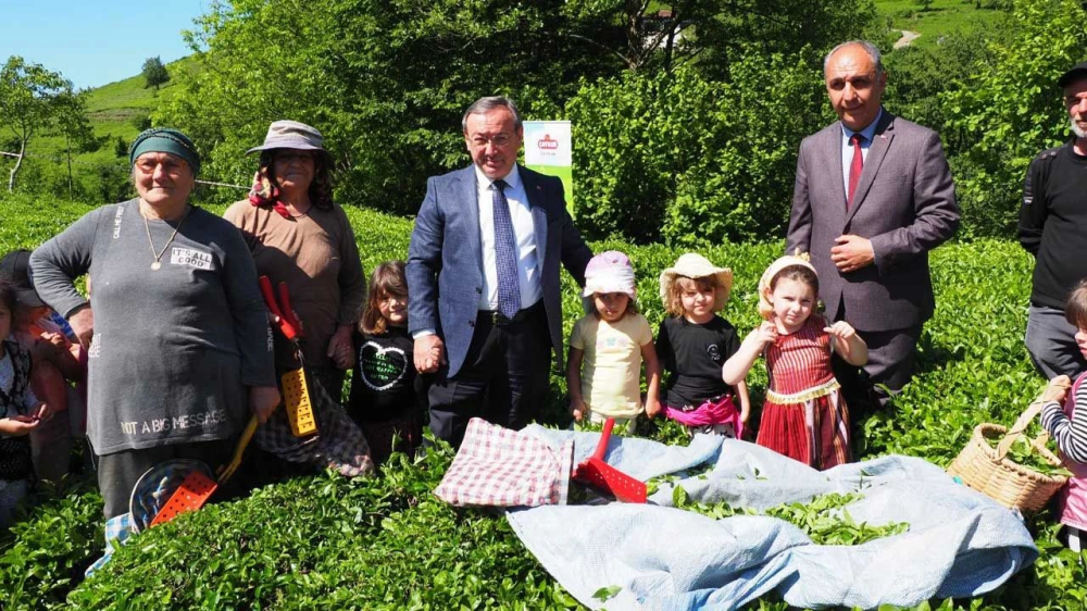 ÇAYKUR’un “Çocuk Çay Hasadı Şenliği” Renkli Görüntülere Sahne Oldu
