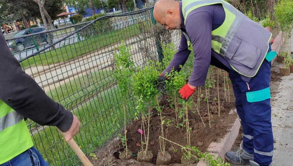 BÜYÜKŞEHİR’DEN “DOĞA DOSTU” HİZMETLER