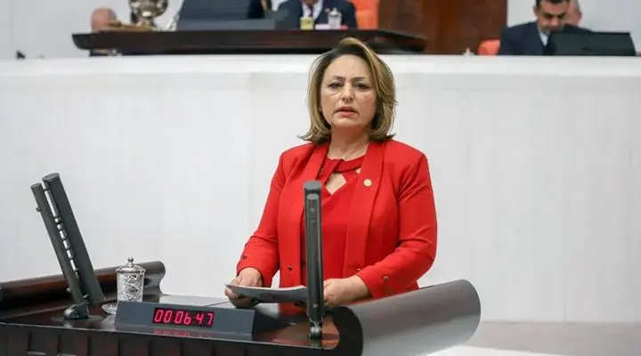 TÜRKİYE'DE DOĞURGANLIK HIZINDA ENDİŞE VERİCİ DÜŞÜŞ: EKONOMİK KOŞULLAR ETKİLİ OLUYOR