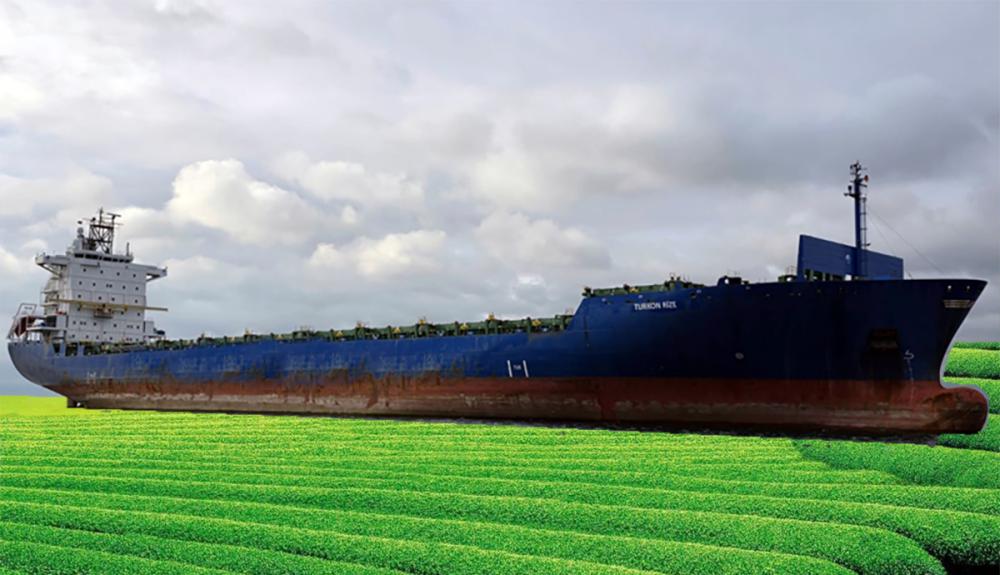 RİZE'DEN 4 AYDA 5,6 MİLYON DOLARLIK ÇAY İHRACATI