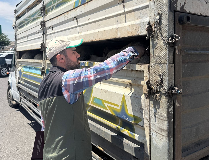 ŞANLIURFA'DA HAYVAN SAĞLIĞI İÇİN SIKI DENETİM VE KONTROLLER BAŞLADI!