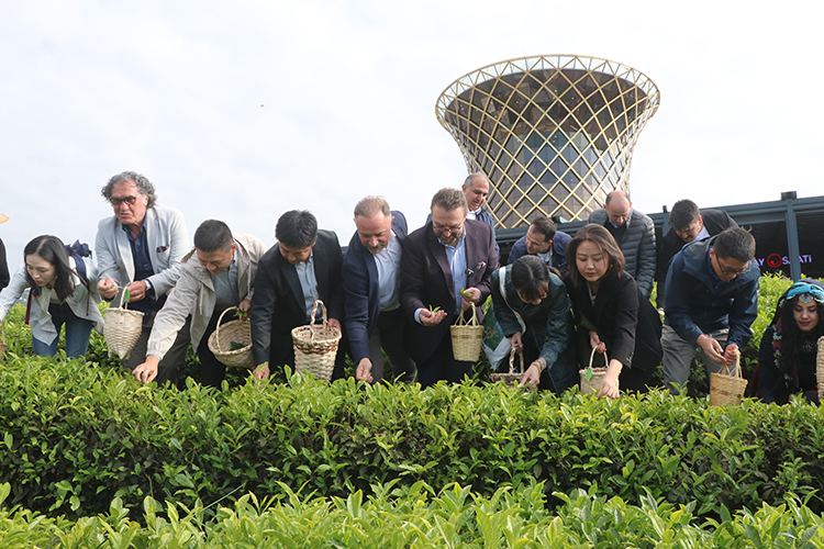 RİZE’DE ULUSLARARASI ÇAY GÜNÜ’ ETKİLİKLERİ YAPILDI