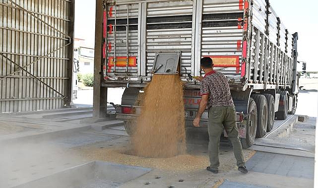 ŞANLIURFA'DA HASAT BAŞLADI, EMEĞİN BEDELİ TARTIŞMA YARATTI!
