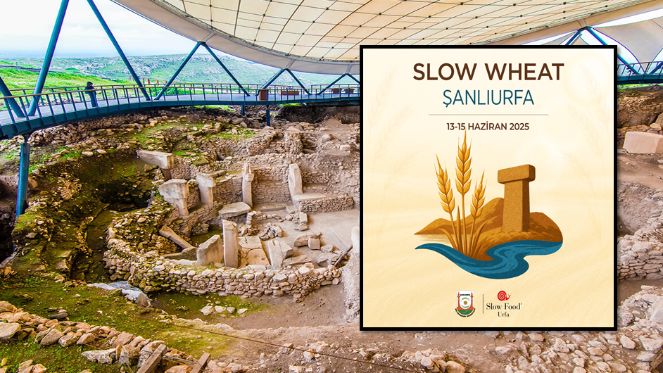 BUĞDAYIN ANA VATANI ŞANLIURFA'DA SLOW WHEAT FESTİVALİ BAŞLIYOR!