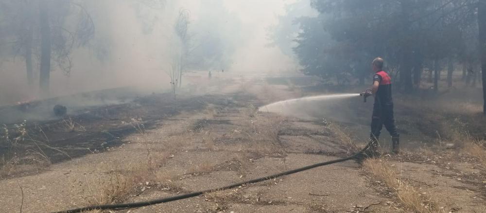 ŞANLIURFA’NIN BOZOVA İLÇESİNDE ORMAN YANGINI KISA SÜREDE SÖNDÜRÜLDÜ