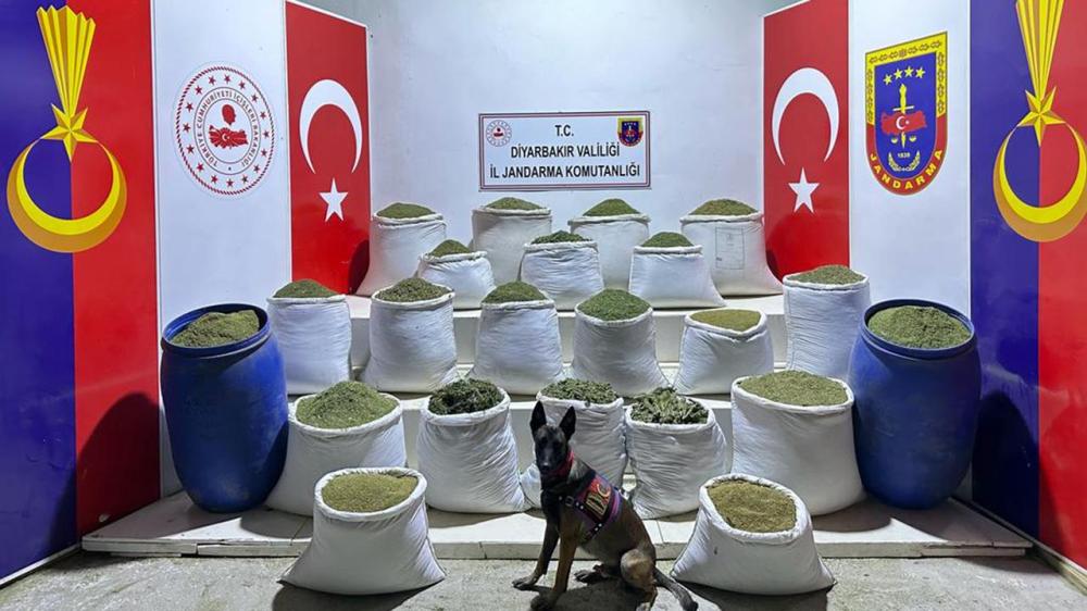 DİYARBAKIR’DA ZEHİR TACİRLERİNE DARBE: 3,4 MİLYON KÖK KENEVİR ELE GEÇİRİLDİ!