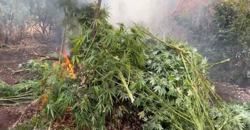 DİYARBAKIR'DA 645 JANDARMA İLE ZEHİR TACİRLERİNE BÜYÜK OPERASYON