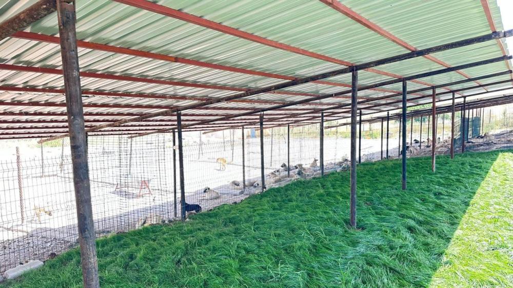 ADIYAMAN BELEDİYESİNDEN SESSİZ DOSTLARA GÜVENLİ YUVA