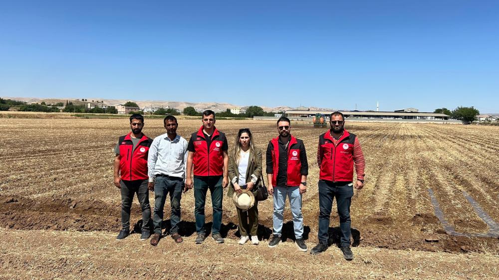 ŞANLIURFA\'DA PAMUK TARLASINA HÜMİK ASİT DESTEĞİ!