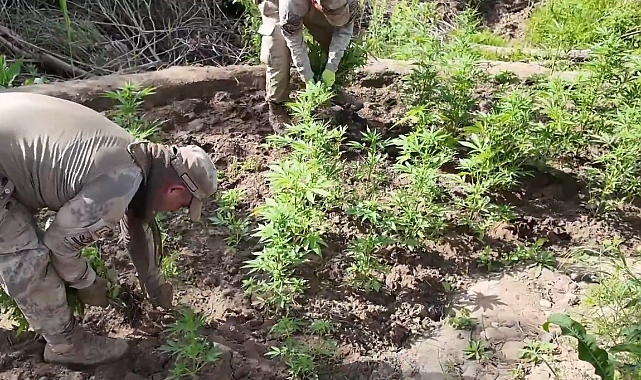 ŞANLIURFA\'DAN BÜYÜK DESTEK! JANDARMA, ZEHİR TACİRLERİNE GEÇİT VERMEDİ