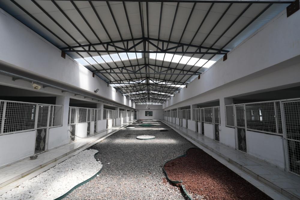 BÜYÜKŞEHİR’DEN SAHİPSİZ HAYVANLARA ŞEFKAT ELİ: DOĞAL YAŞAM ALANLARI