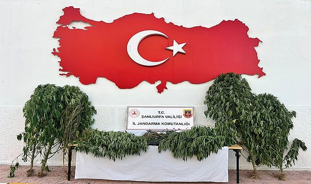 ŞANLIURFA\'DA ZEHİR TACİRLERİNE AĞIR DARBE! 3 İLÇEDE EŞ ZAMANLI OPERASYON