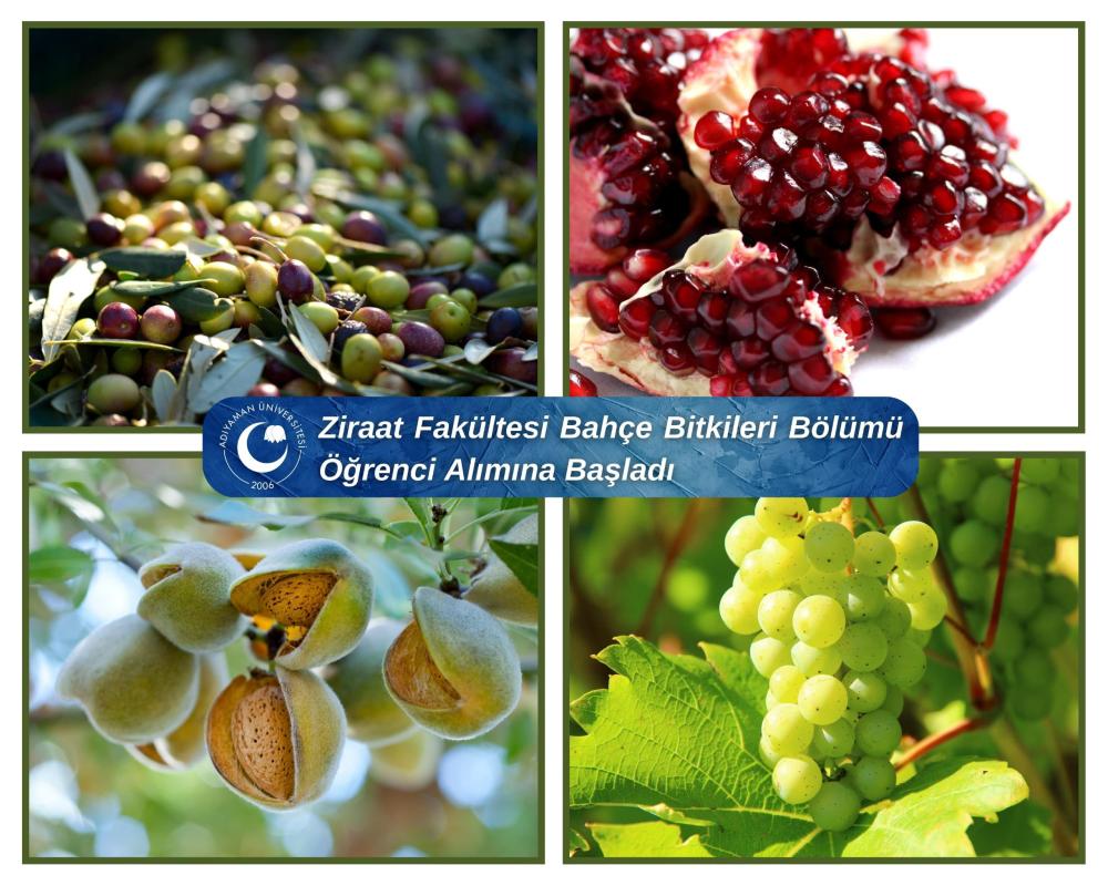 ADIYAMAN TARIMINA AKADEMİK DESTEK: ZİRAAT FAKÜLTESİ BAHÇE BİTKİLERİ BÖLÜMÜ ÖĞRENCİ ALIMINA BAŞLIYOR