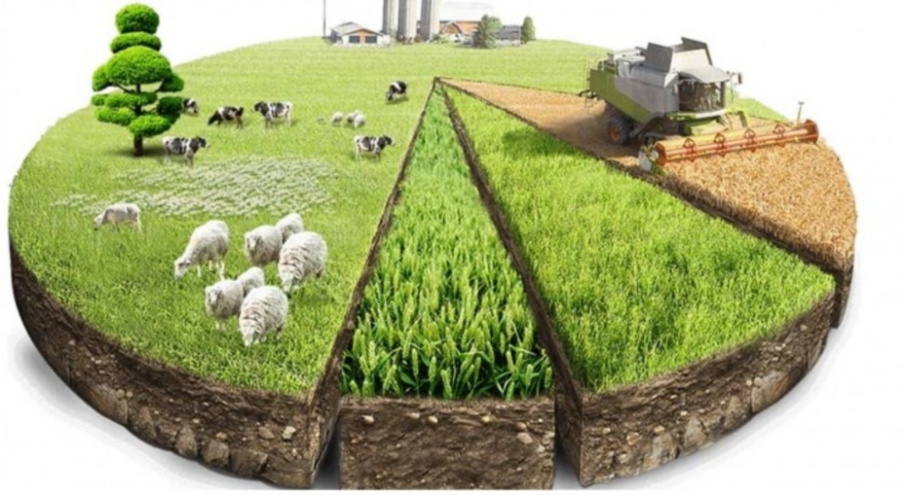 RİZE’DE KIRSAL KALKINMA İÇİN BÜYÜK FIRSAT: 42 MİLYON AVROLUK HİBE DUYURULDU!