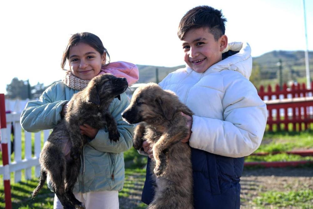 ÜÇ BİNİN ÜZERİNDE HAYVAN SAHİPLENDİRİLDİ