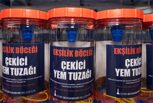 İncirde Kalite Kaybına Karşı Doğal Mücadele