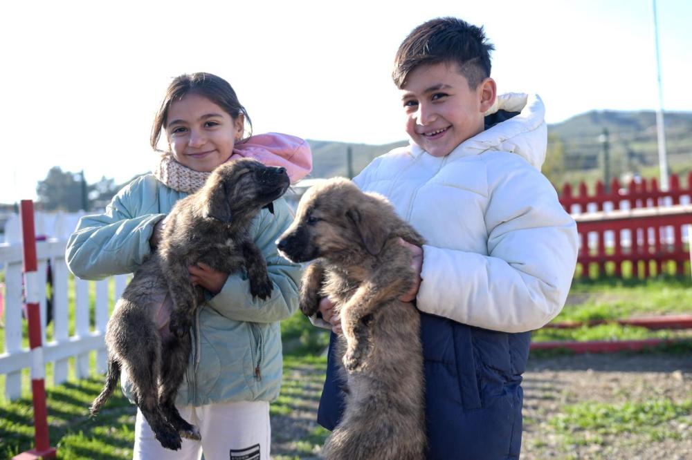 Büyükşehir’den Dikili’ye tam teşekküllü sokak hayvanları kampüsü