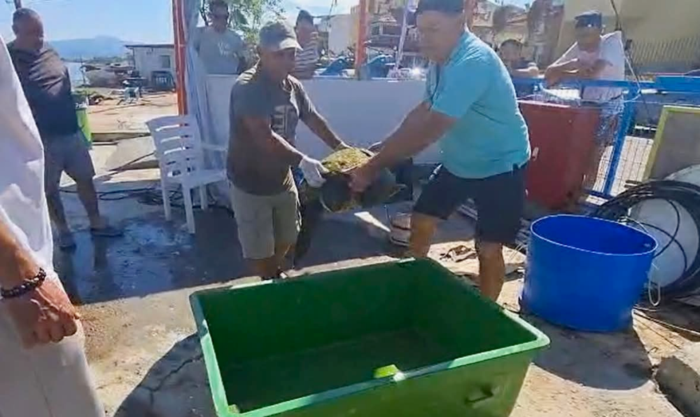 ÖLÜMLE BURUN BURUNA GELEN CARETTA YAŞAMA TUTUNDU