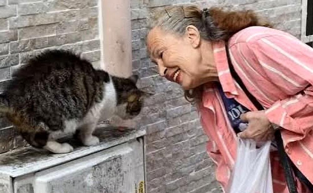 PANTER EMEL HAYATINI KAYBETTİ